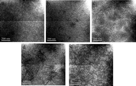 Energy Filtered Transmission Electron Microscopy Eftem Images Of A