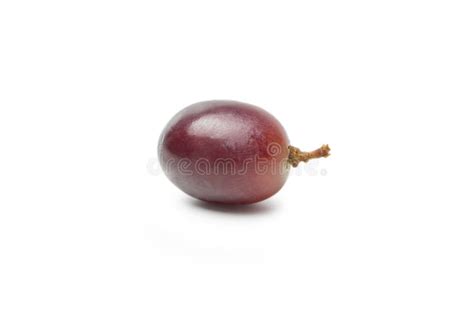 Single Grape Stock Images Download 7757 Royalty Free Photos