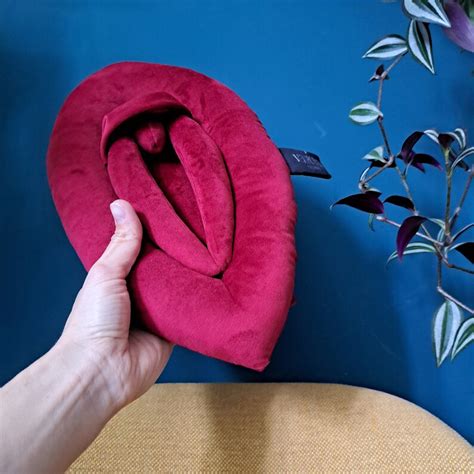 Vulva Pillows Anatomy Set Red Plushy Puppets For Sex Etsy Canada