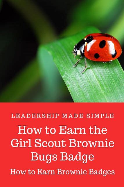 What Is The Correct Placement For Girl Scout Badges Artofit