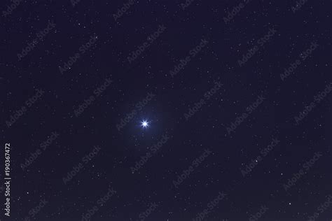 Sirius Brightest Star On Night Sky Sirius Star Stock Photo Adobe Stock