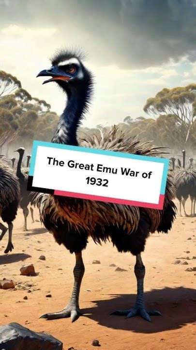 The Great Emu War Of 1932 Facts History Shorts Youtube