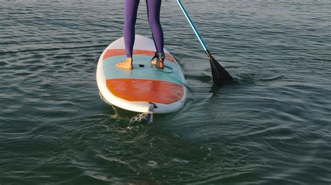 Muere Tras Ser Atacada Por Un Tiburón En Bahamas Haciendo Paddle Surf