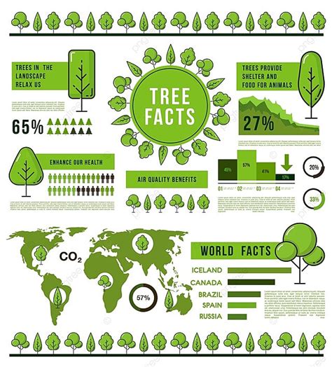 Infografia De Arboles Del Bosque Descarga Gratuita De Plantilla En Pngtree