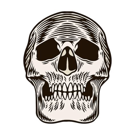 Premium Vector Skull Head Engraving Illustration Vector