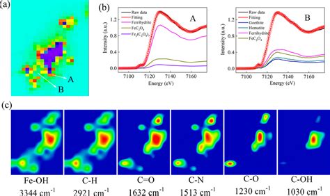 Correlative Micro X Ray Fluorescence µ Xrf And Synchrotron Based Download Scientific Diagram