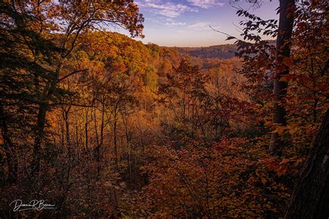 Bedford Reservation Photograph By Dennis Bean Fine Art America