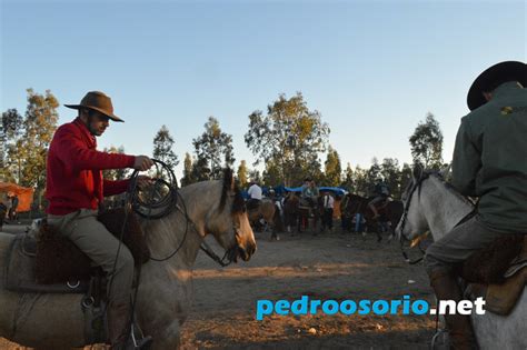 pedroosorio net Rodeio de Vaca Mecânica realizado