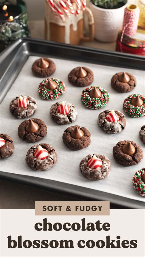 Chocolate Blossom Cookies - Teak & Thyme