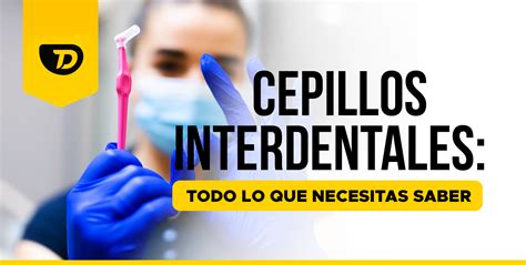 Cepillos Interdentales Todo Lo Que Necesitas Saber Techdent