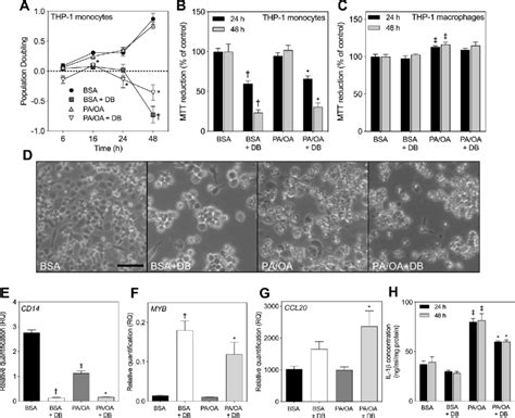 Didemnin B Disrupts THP 1 Monocyte Proliferation And Differentiation