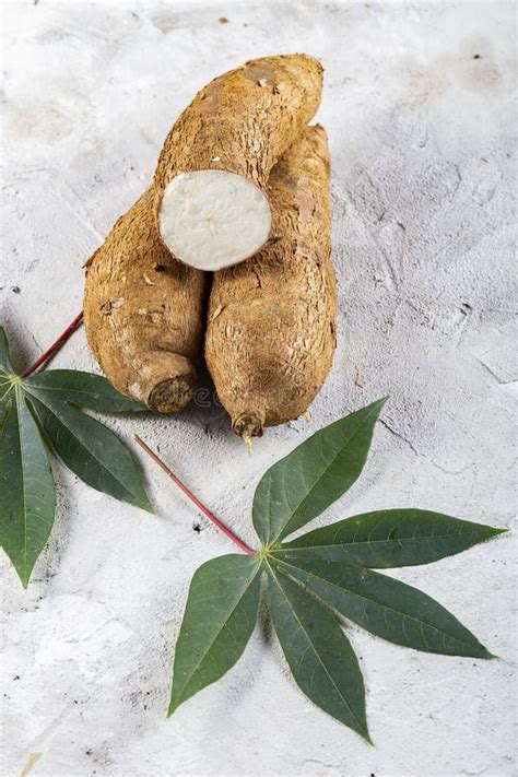 Cassava Pile Yucca On A Background Of Rustic Wood Manihot Esculenta