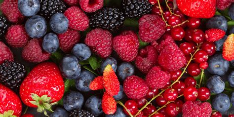 Types Of Berries List Of Berries With Yummy Pictures English Saga