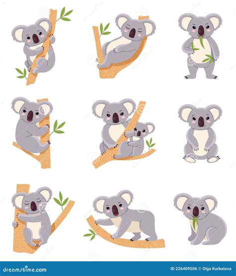 Koala Set Poses Koala Bear Happy And Yoga Beast Scared And Angry