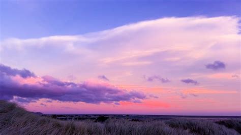 1000+ Interesting Purple Sky Photos · Pexels · Free Stock Photos