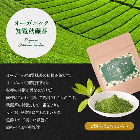 【新商品】オーガニック知覧抹茶秋碾 50g お点前用、お菓子作り用等、用途にあわせて選べる3種類の有機抹茶。鹿児島 八女 日本茶 緑茶 抹茶