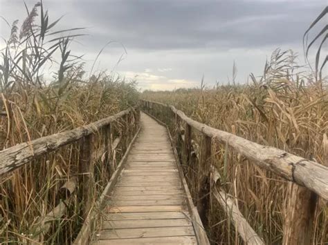 Best Hikes And Trails In Migliarino San Rossore Massaciuccoli Nature