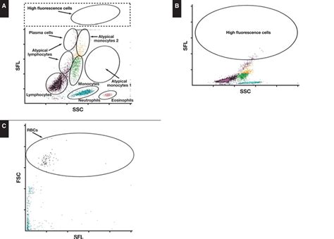 Wbc Differential Fluorescence Wdf Scattergram And The Rbc Fluorescent