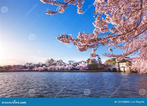 Cherry Blossom Festival, Inlet Bridge Gates between the Tidal Basin and ...