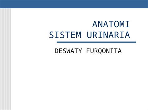 PPT ANATOMI Sistem Urinaria DOKUMEN TIPS