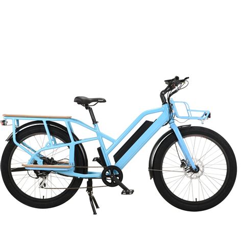 Km H V Lohas Or Oem Cargo Ebike Central Motor Electric Bicycle