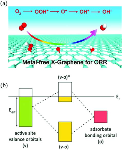 A Scheme Of Heteroatom Doped Graphene X B N P O S B Schematic