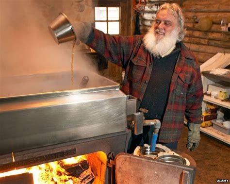 Making Maple Syrup The Traditional Way Bbc News