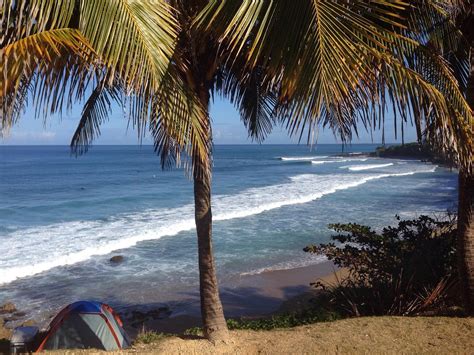 Mayaguez Puerto Rico 2023 Best Places To Visit Tripadvisor
