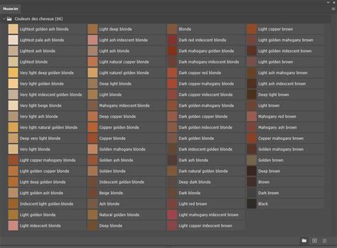 Nuancier Couleurs Des Cheveux Photoshoplus