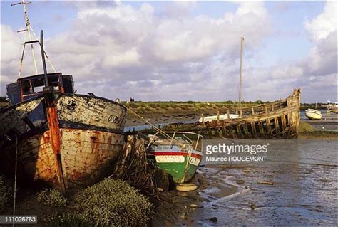 Island Noirmoutier Photos and Premium High Res Pictures - Getty Images