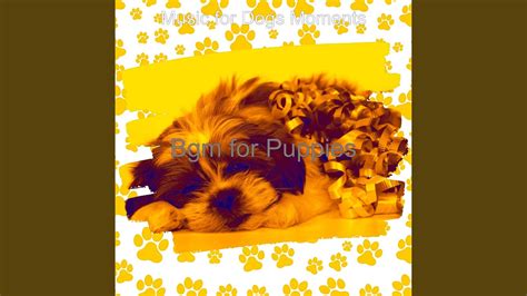 Sprightly Ambience For Cute Puppies Youtube