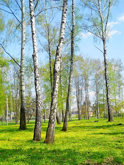 украинская весна | Smithsonian Photo Contest | Smithsonian Magazine