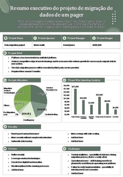 Os 5 Principais Modelos De Resumo Executivo De Projetos Amostras E