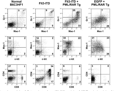 Pdf Pml Rar And Flt Itd Induce An Apl Like Disease In A Mouse Model