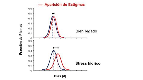 Trabajo práctico Nro 3 de maíz Lucas Vitantonio YouTube