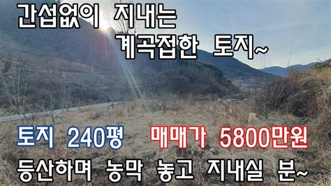 No385 상동면 신곡리 간섭없이 지내는 계곡접한 토지 밀양신삼진부동산밀양부동산매매밀양주말농장밀양농막밀양토지