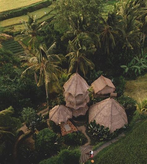 Firefly Eco Lodge Bali On Instagram View Of Our Nests From Above