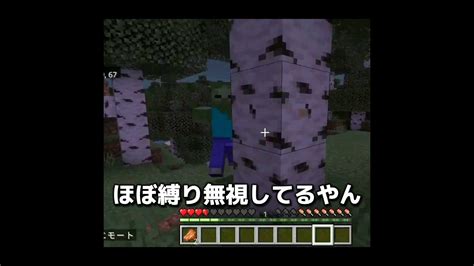 一日ごとに縛りが変わるマイクラで木に触れてはいけない縛りと腕を振り続ける縛りを初心者がやったら⁉ ゆっくり マイクラ マインクラフト