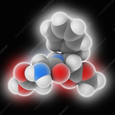 Aspartame molecule - Stock Image - C025/3377 - Science Photo Library