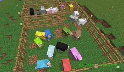 Minecraft SHEEP Colors