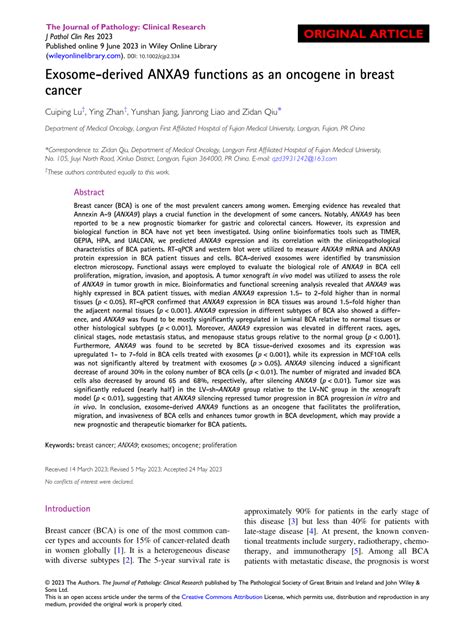 Pdf Exosome Derived Anxa Functions As An Oncogene In Breast Cancer