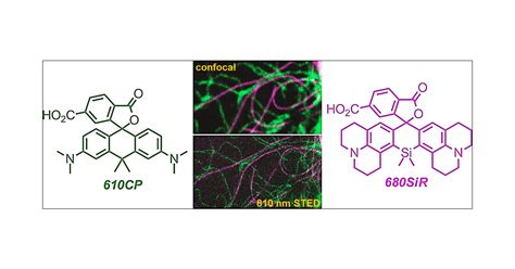 Two Color 810 Nm Sted Nanoscopy Of Living Cells With Endogenous Snap