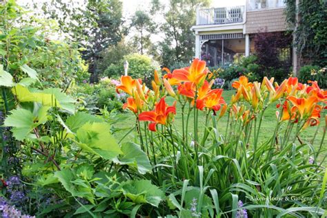 Aiken House & Gardens: Garden Tour Day
