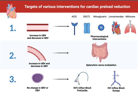 Preload Reduction Therapies In Heart Failure Heart Failure Clinics