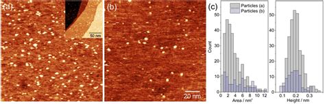 In Situ ECSTM Images Of The Deposition Of Pd Clusters From The SrPd12