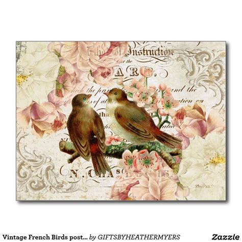 Vintage French Birds Postcard Zazzle Vintage Birds Vintage