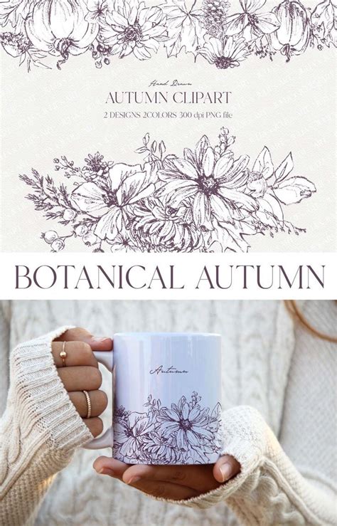 Botanical fall line art floral line art autumn clipart botanical prints ...