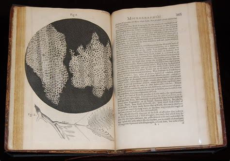 Hooke’s Books Influences Around Robert Hooke’s Micrographia Circulating Now From The Nlm