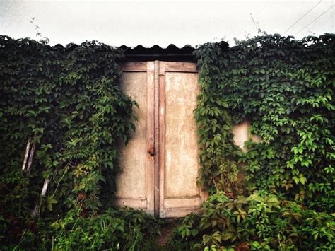 Premium Photo Exterior Of Ivy Covered House Against Clear Sky