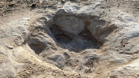 Dinosaur Tracks From 113 Million Years Ago Uncovered Due To Severe